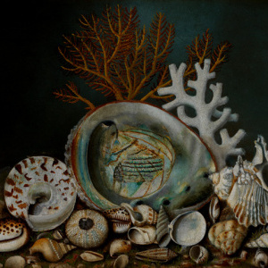 Martin Lenzi, Aquarium Shells