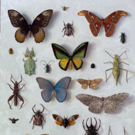 102nd Annual Spring Salon